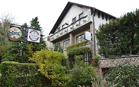 Muskatli Panzio