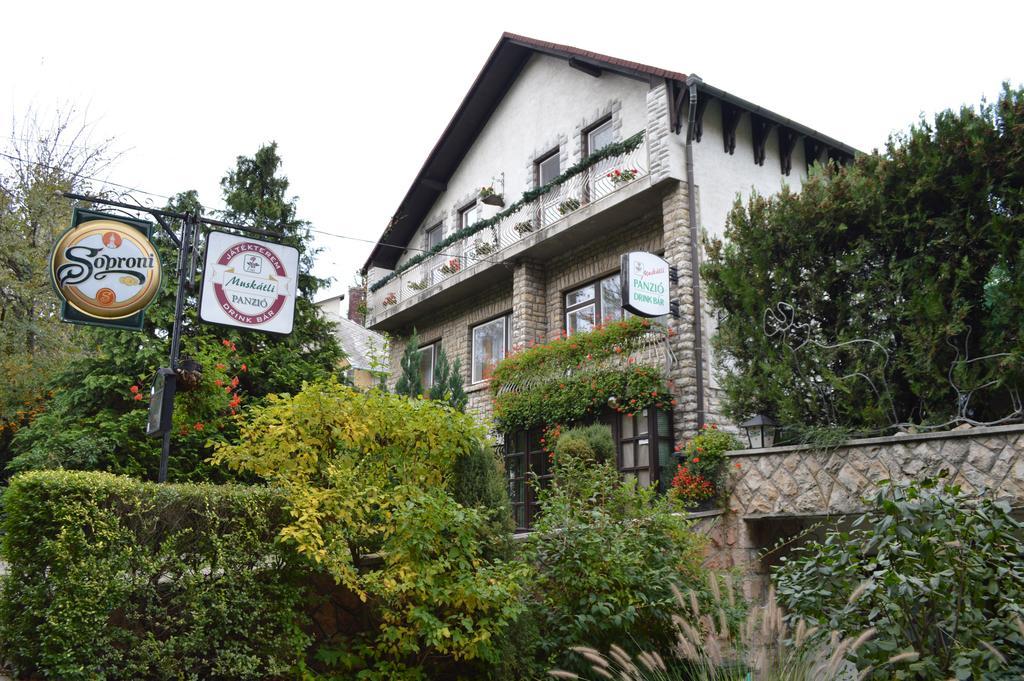 Bed and Breakfast Muskatli Panzio Ráb Exteriér fotografie